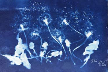 Piscenli by CELINE LEFORT 