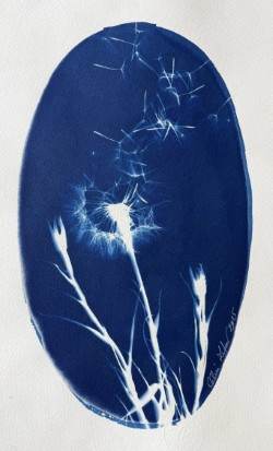 Made a wish 9 by CELINE LEFORT 