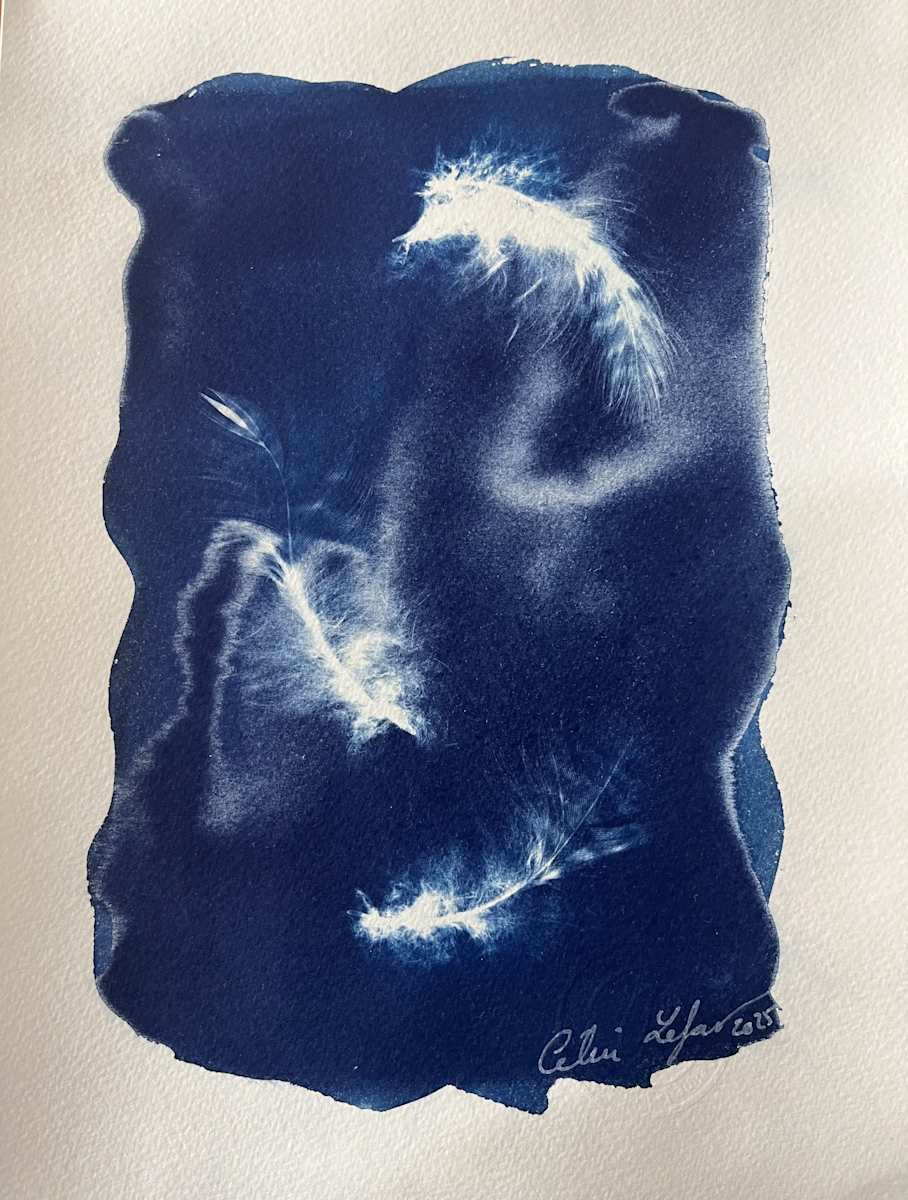 Owl fluff by CELINE LEFORT 