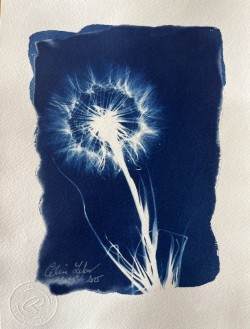 Make a wish by CELINE LEFORT 