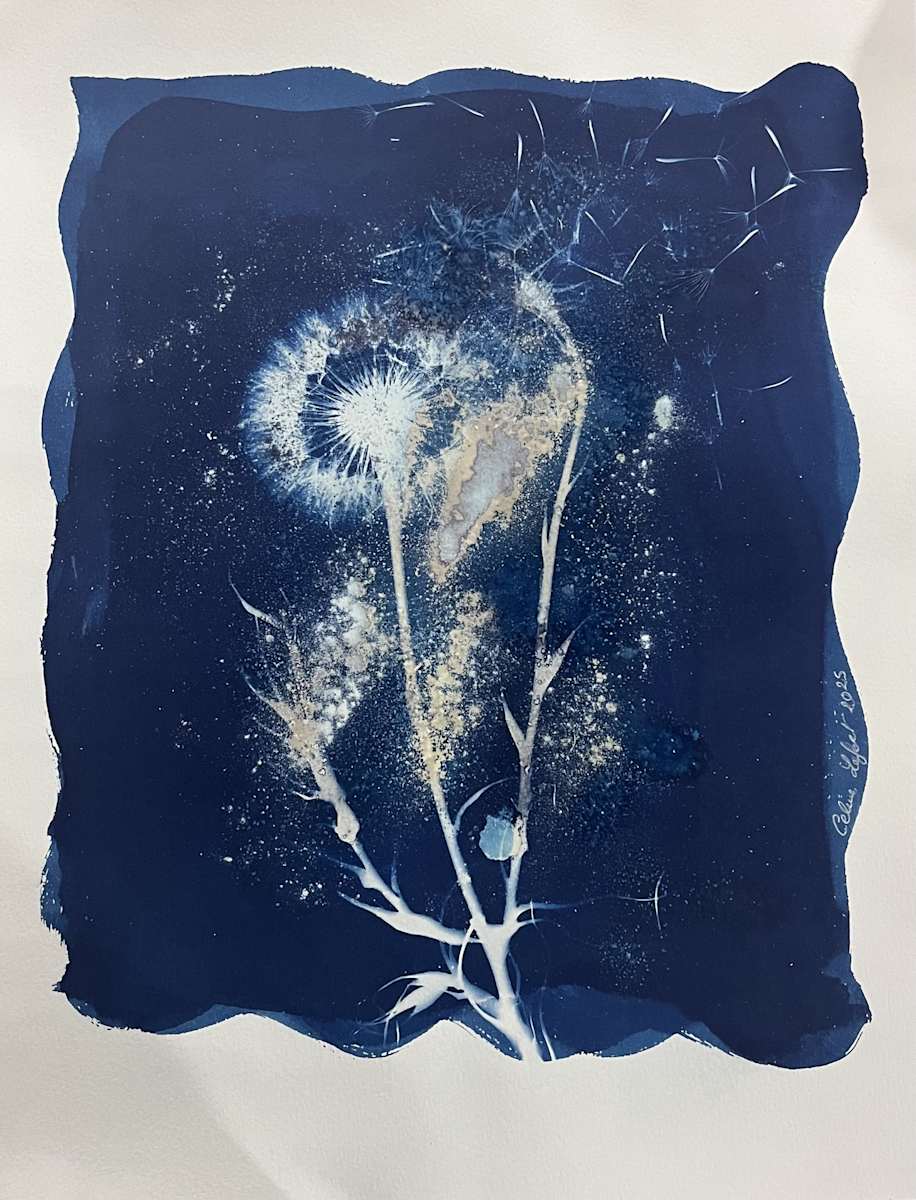 Make a wish 7 by CELINE LEFORT, Image 1.