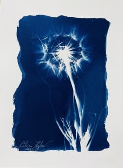 Made a Wish 4 by CELINE LEFORT 