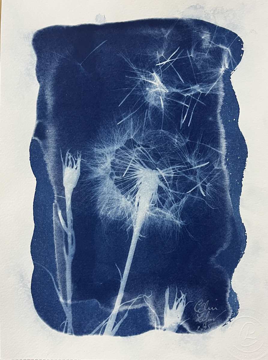 Made a Wish 6 by CELINE LEFORT 