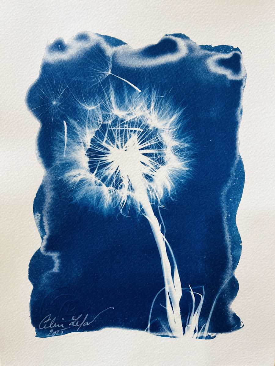 Made a Wish 3 by CELINE LEFORT, Image 2.