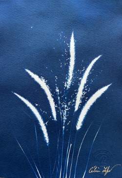 Feather & delicate grass by CELINE LEFORT 