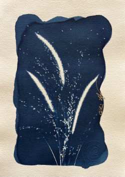 Feather & delicate grass 3 by CELINE LEFORT 