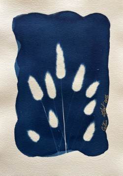 Bunny Tails Steams 2 by CELINE LEFORT 