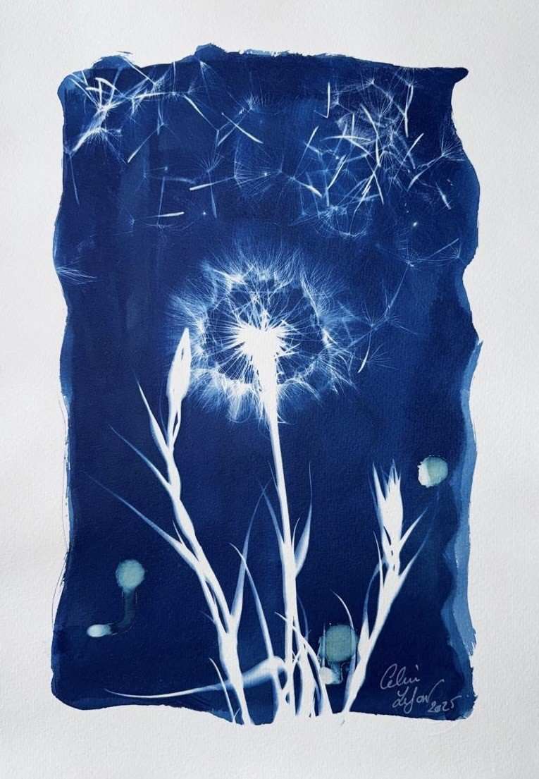 Made a wish 7 by CELINE LEFORT 