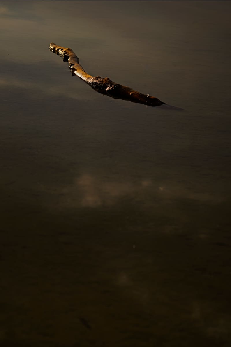 Adrift 1/10 by Bryan Sabol