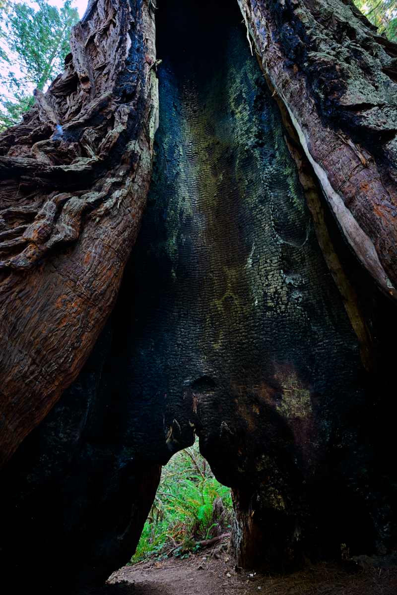 Scorched Hollow 1/10 by Bryan Sabol 