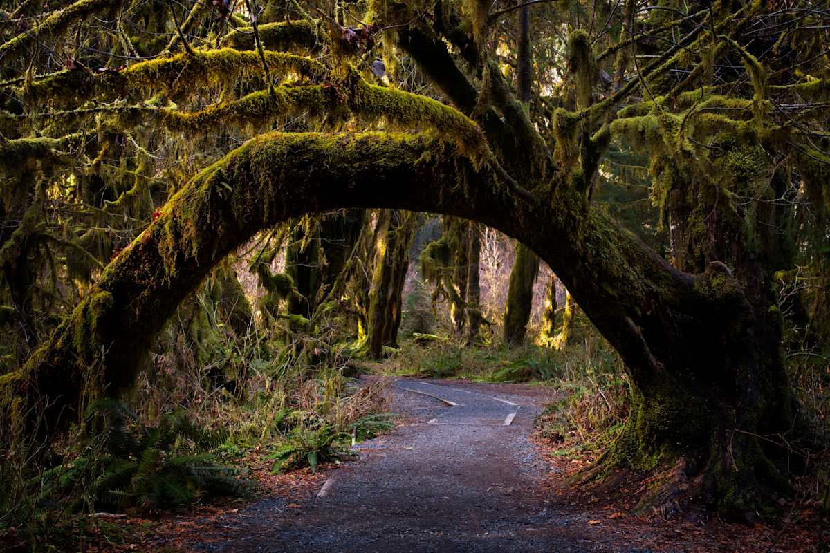 Living Gateway 1/10 by Bryan Sabol 