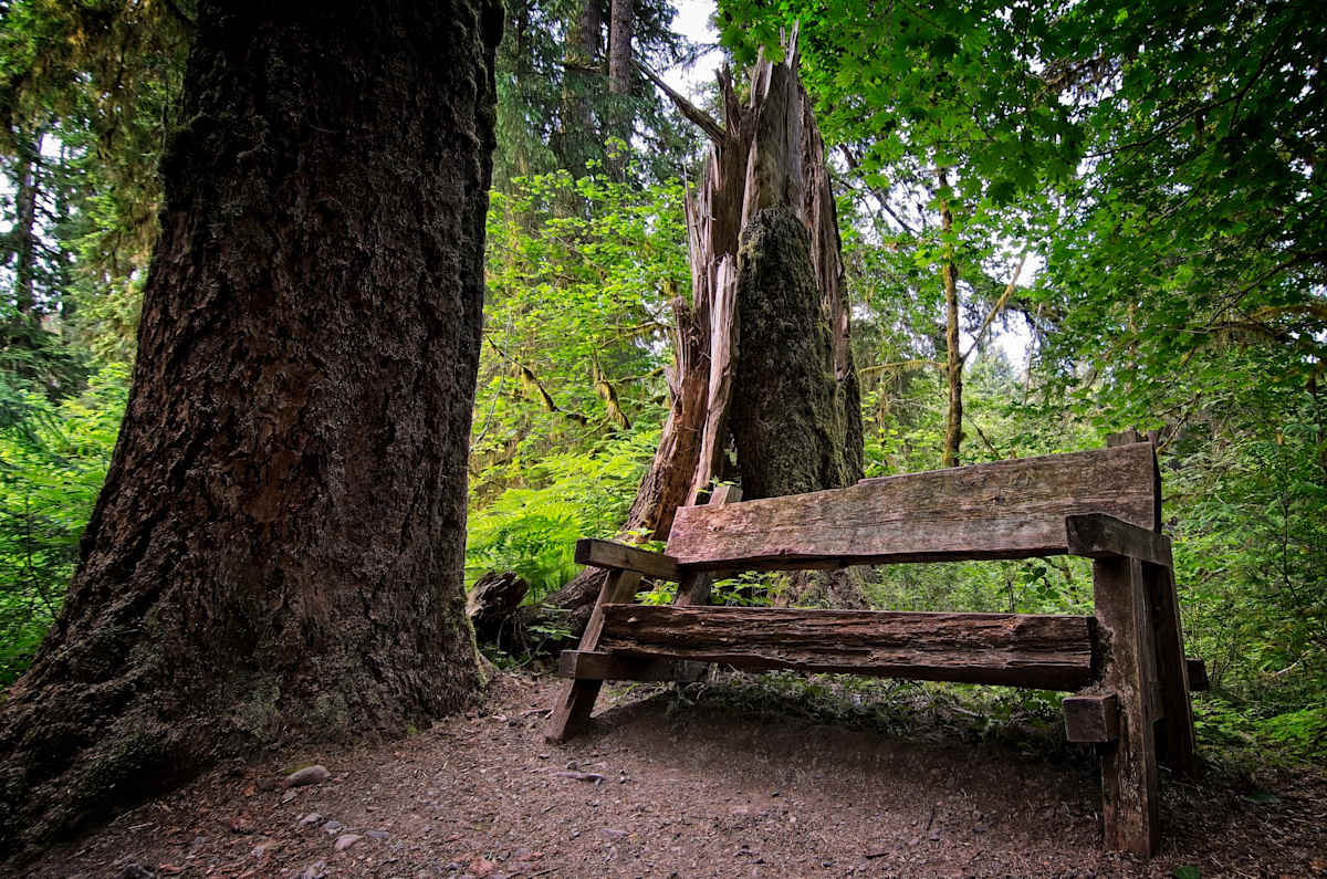 Sit and Abide 1/10 by Bryan Sabol