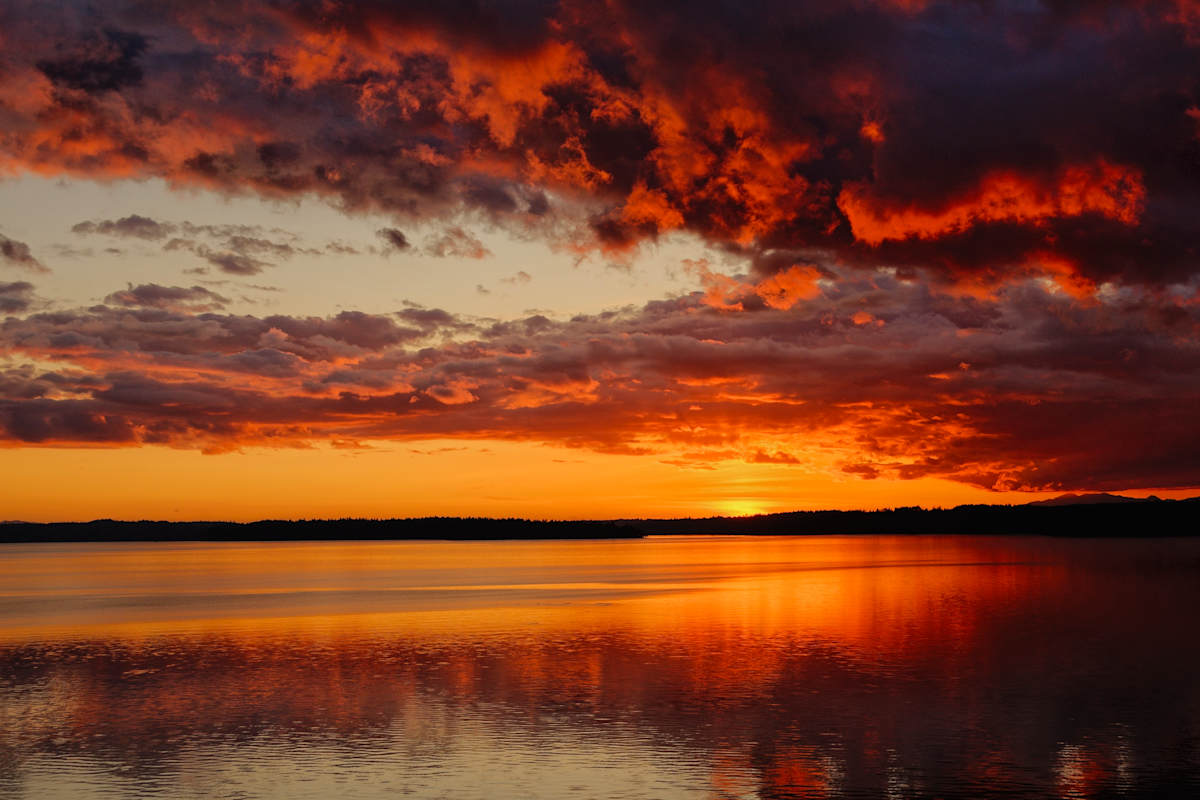 Cinnamon Sunset 1/10 by Bryan Sabol 