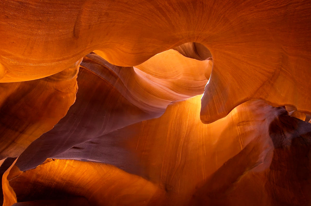 Nautiloid Impression 1/10 by Bryan Sabol