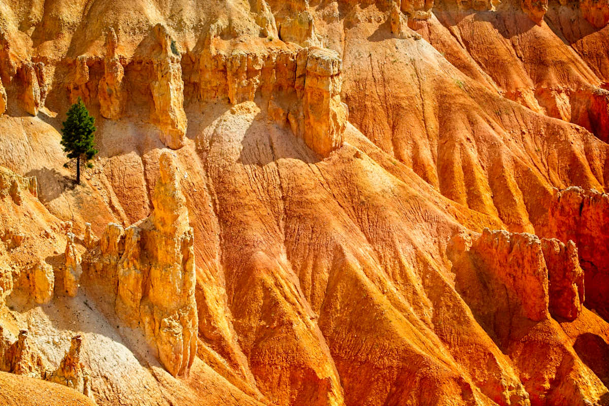 Lonesome Green 1/10 by Bryan Sabol