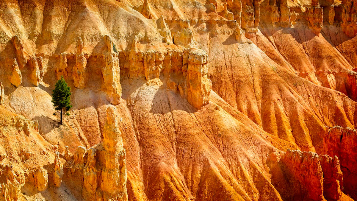 Lonesome Green 1/10 by Bryan Sabol