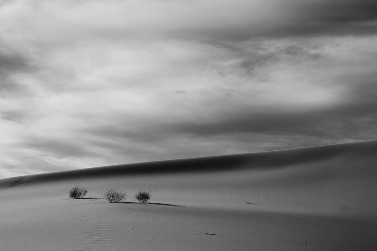 The Three Shrubs of the Apocalypse 1/10 by Bryan Sabol 