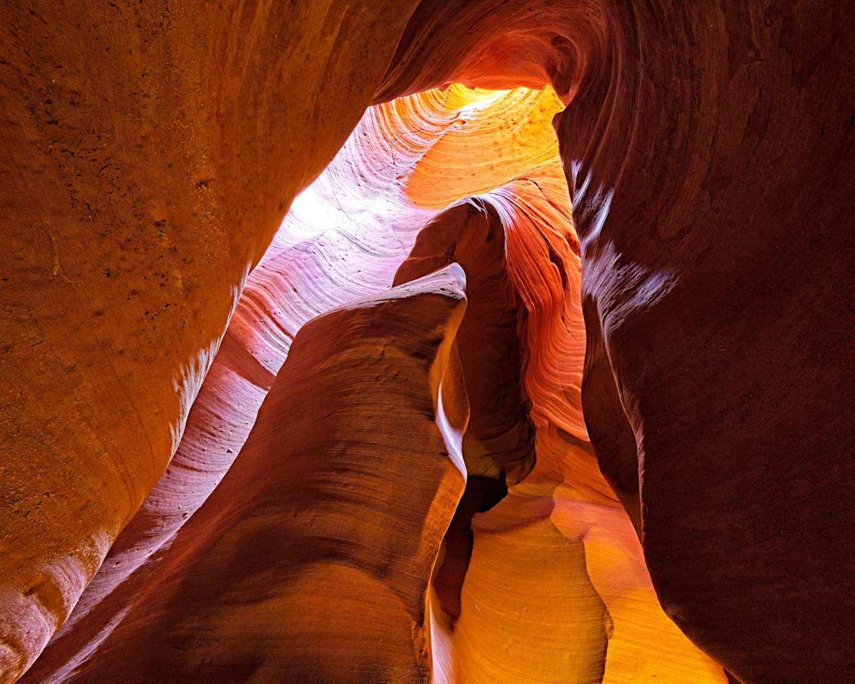 Mother and Chick 1/10 by Bryan Sabol