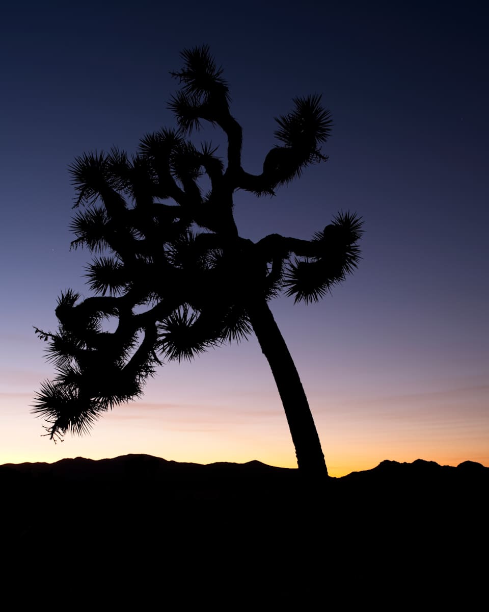 Joshua Shadow 1/10 by Bryan Sabol 