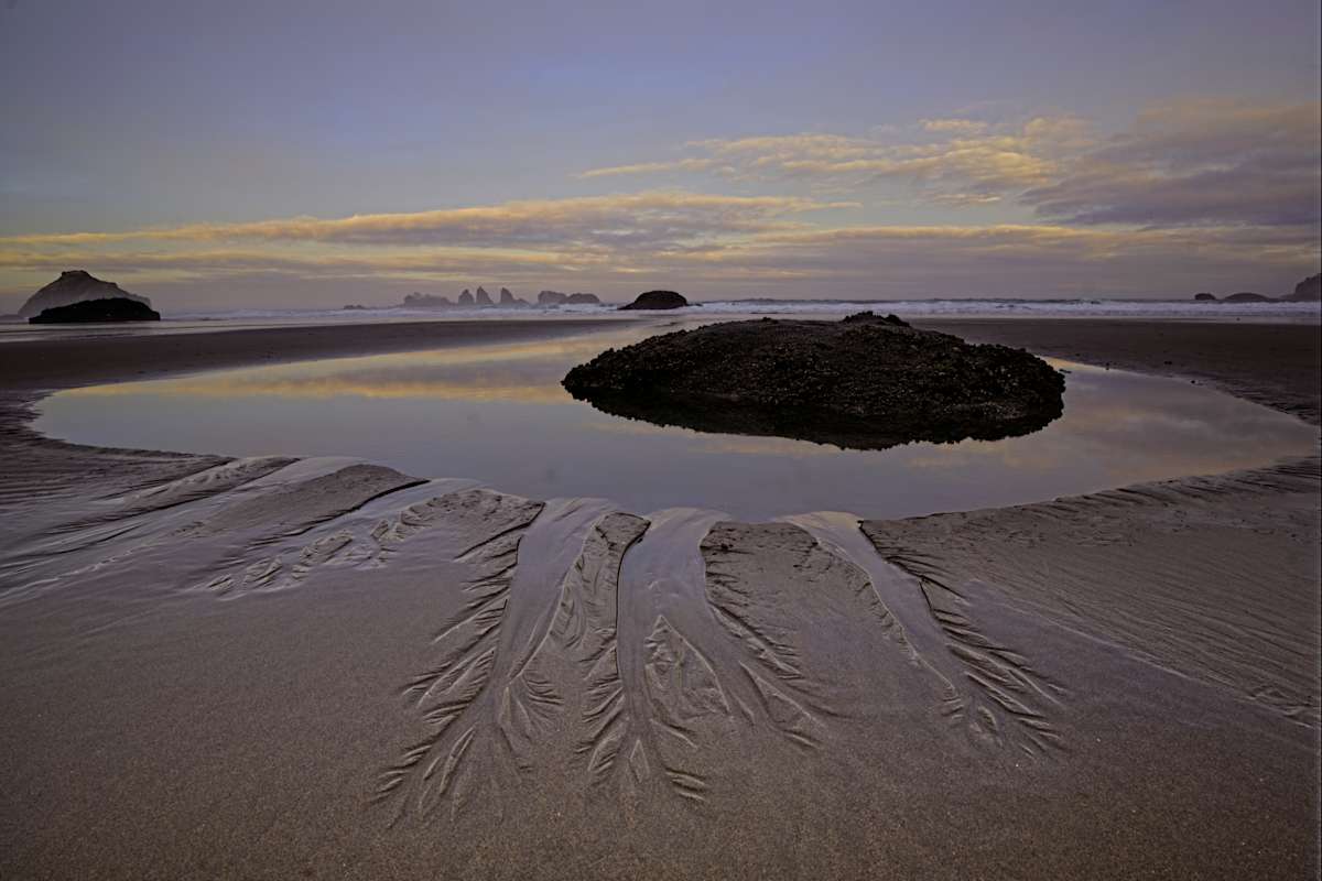 Sand Tendrils 1/10 by Bryan Sabol