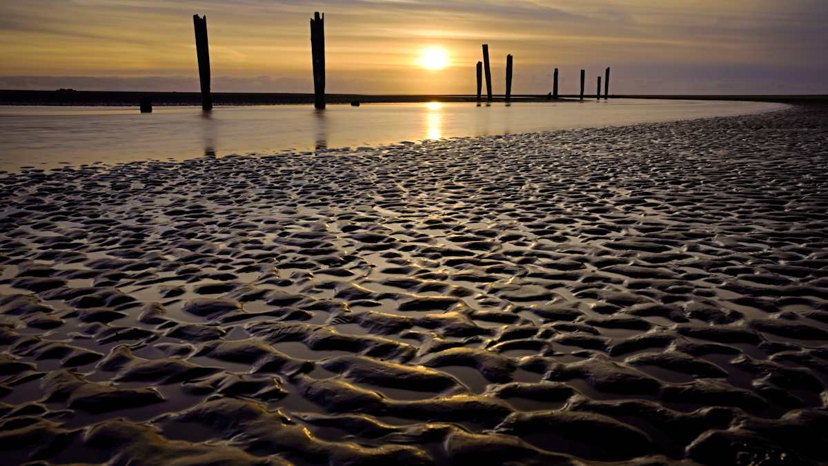 Little Things 1/10 by Bryan Sabol 