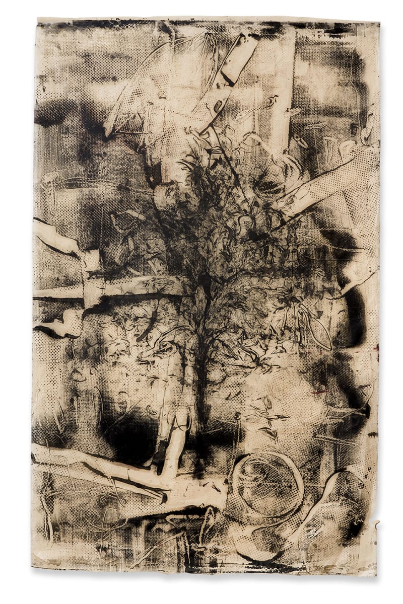 Koan 21 by Paula Roland  Image: Full image jpg