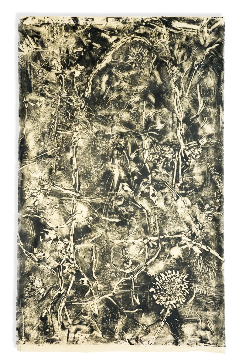 Koan 33 by Paula Roland  Image: Full image