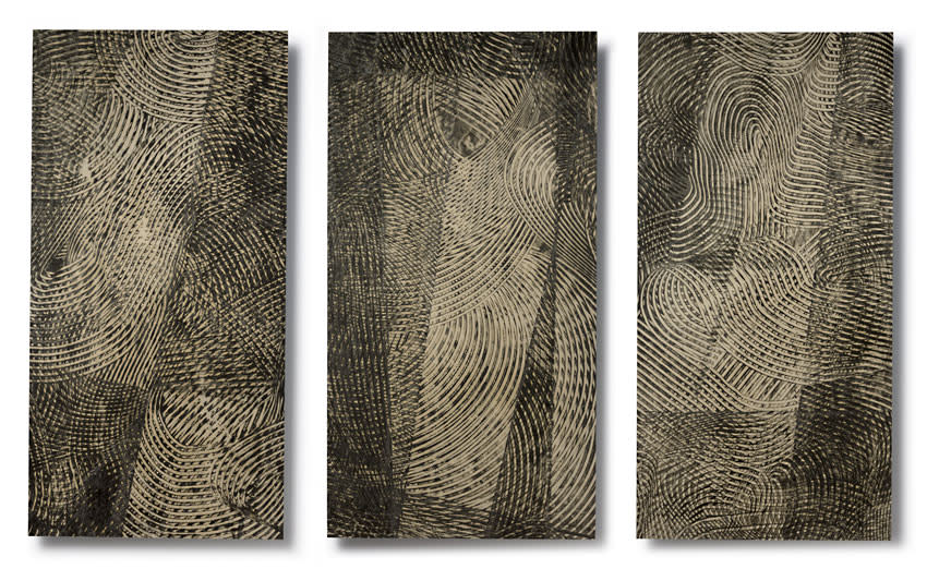 Sightlines Triptych (#s VI, IV, V) by Paula Roland 
