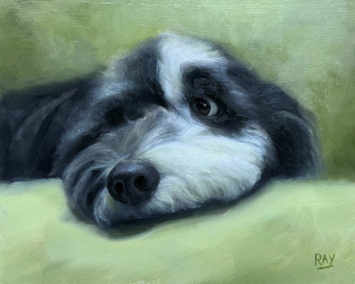 Pillow Talk by Alan Douglas Ray, Image 1.