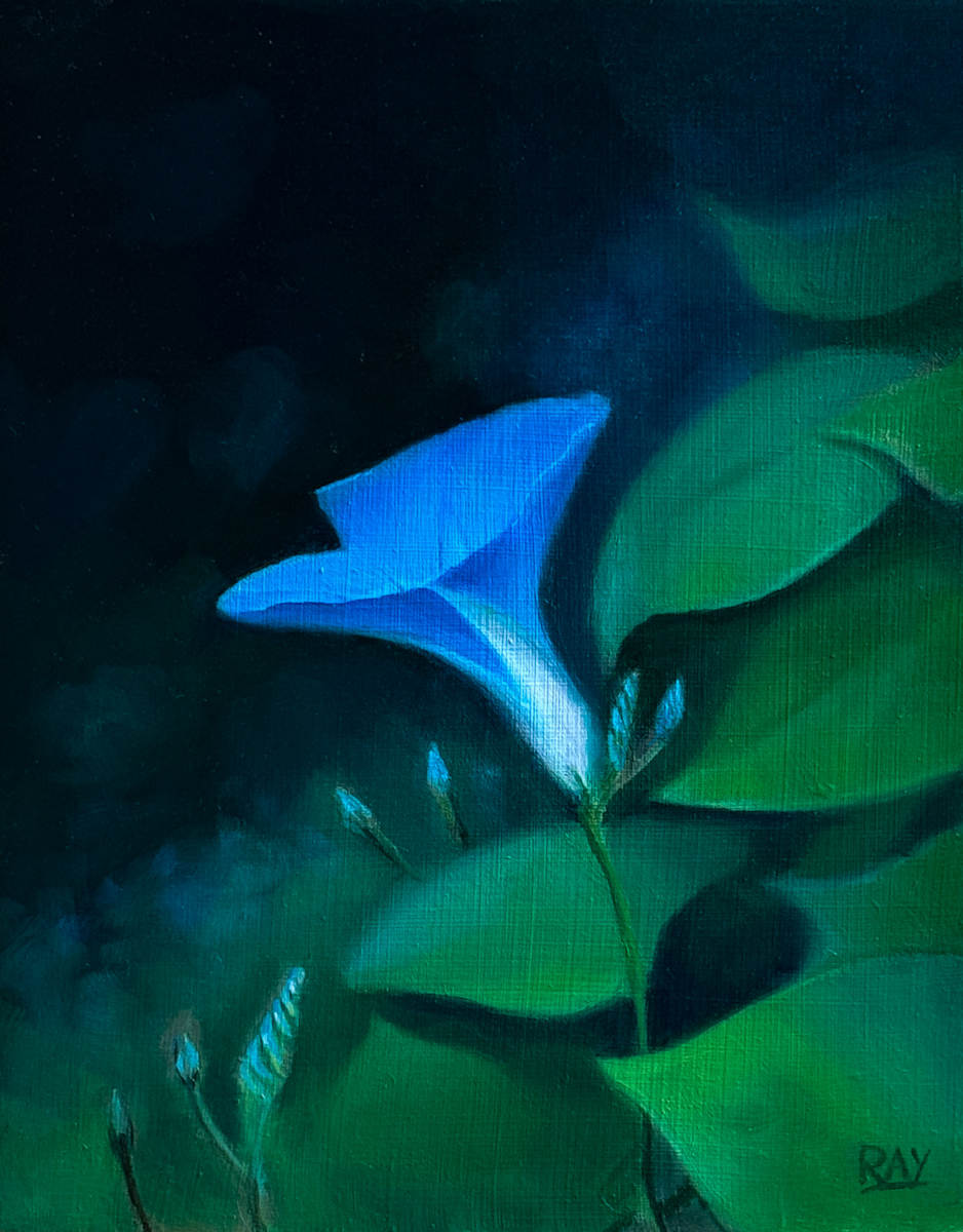 The First Morning Glory by Alan Douglas Ray 