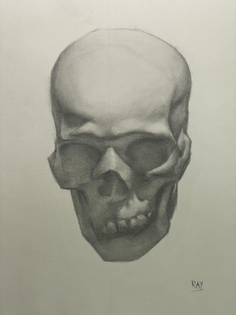 Skull Study, after Colleen Barry by Alan Douglas Ray  Image: "Skull Study, after Colleen Barry", 10" x 8", graphite