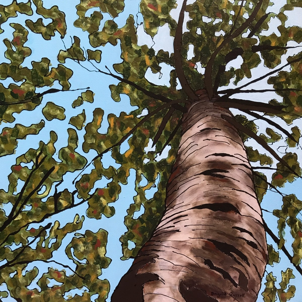 Birch by Ingrid Russell 