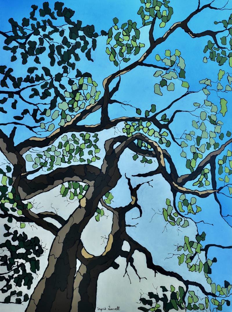 Canopy by Ingrid Russell 