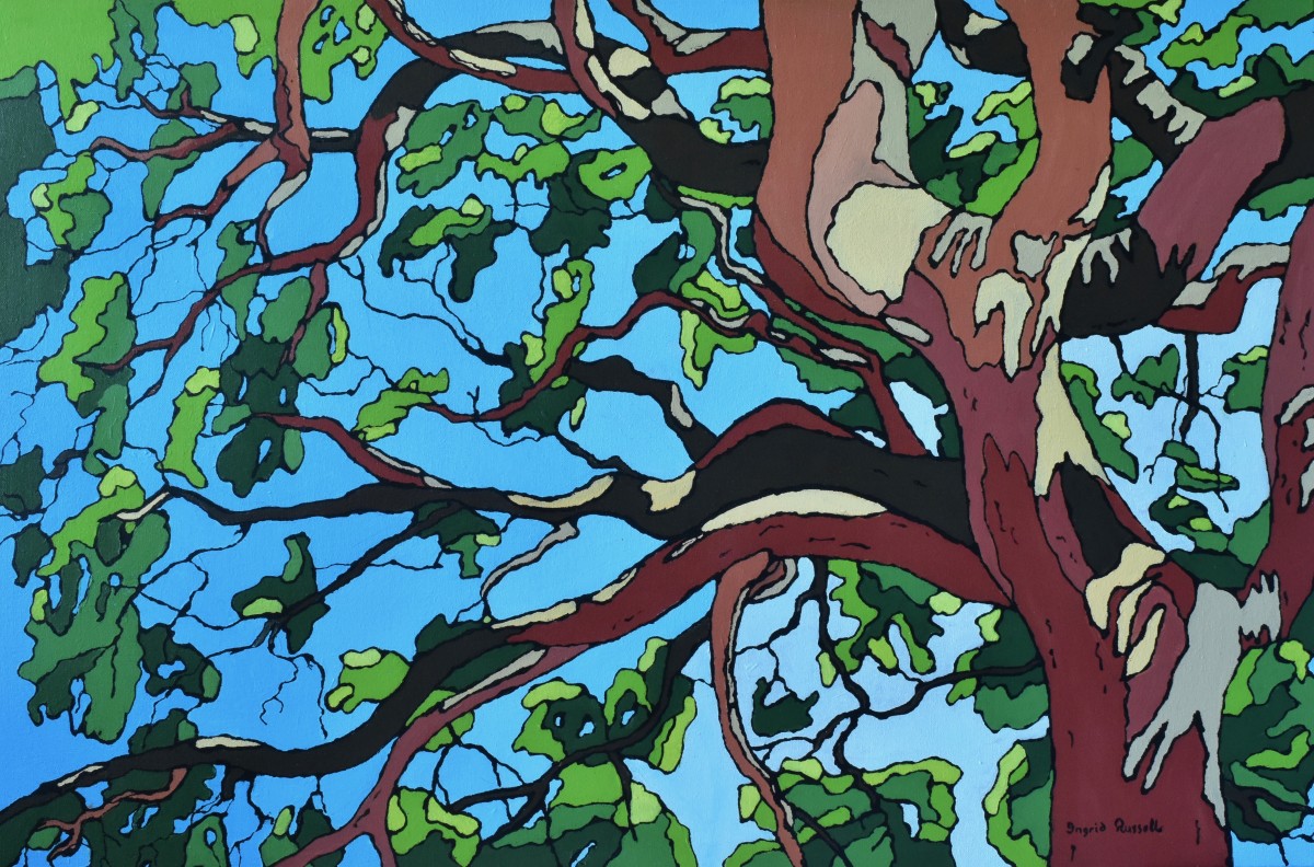 Angophora 2 by Ingrid Russell 