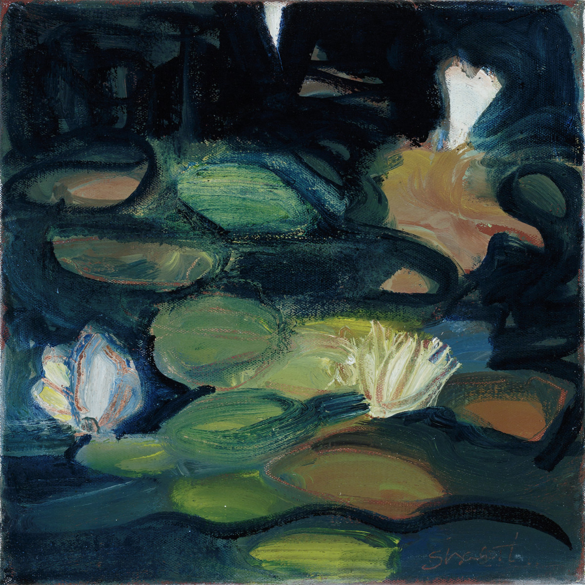 Beech Forest by Laura Shabott 