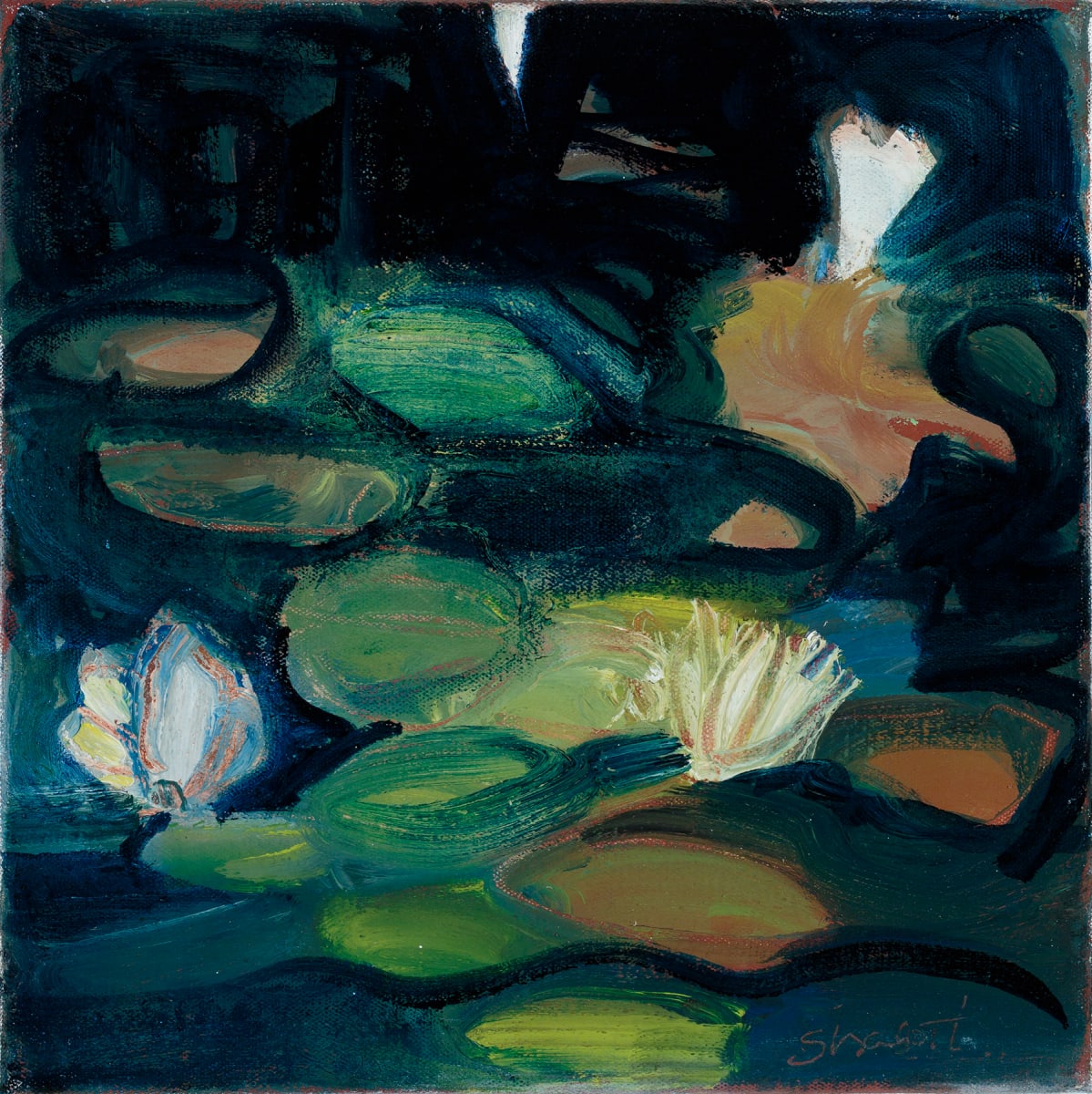 Beech Forest by Laura Shabott, Image 2.