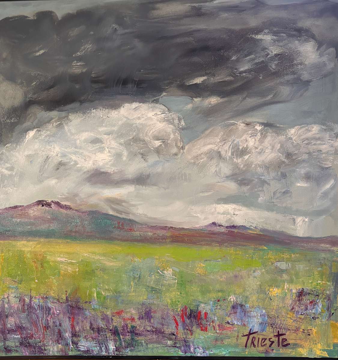 Rain by Carol Trieste 