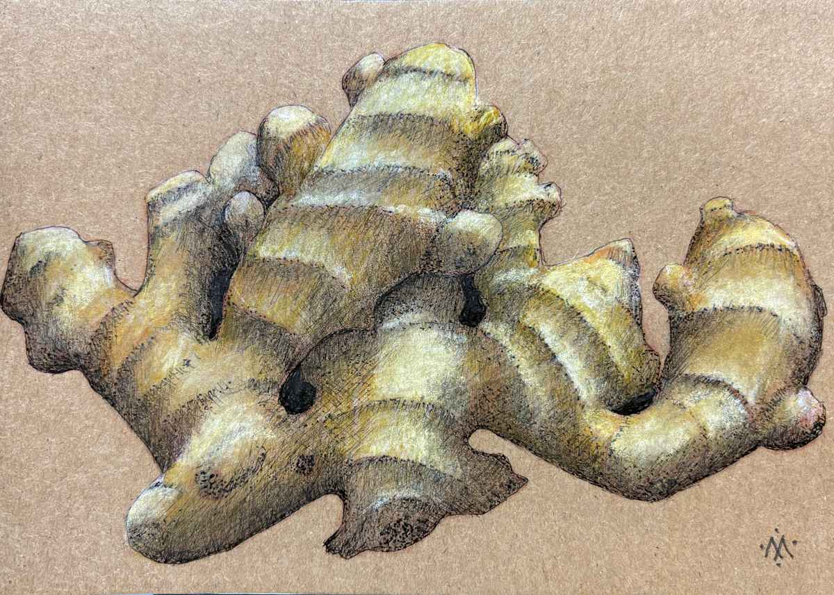 Ginger Root by Martha Lee Turner, Image 1.