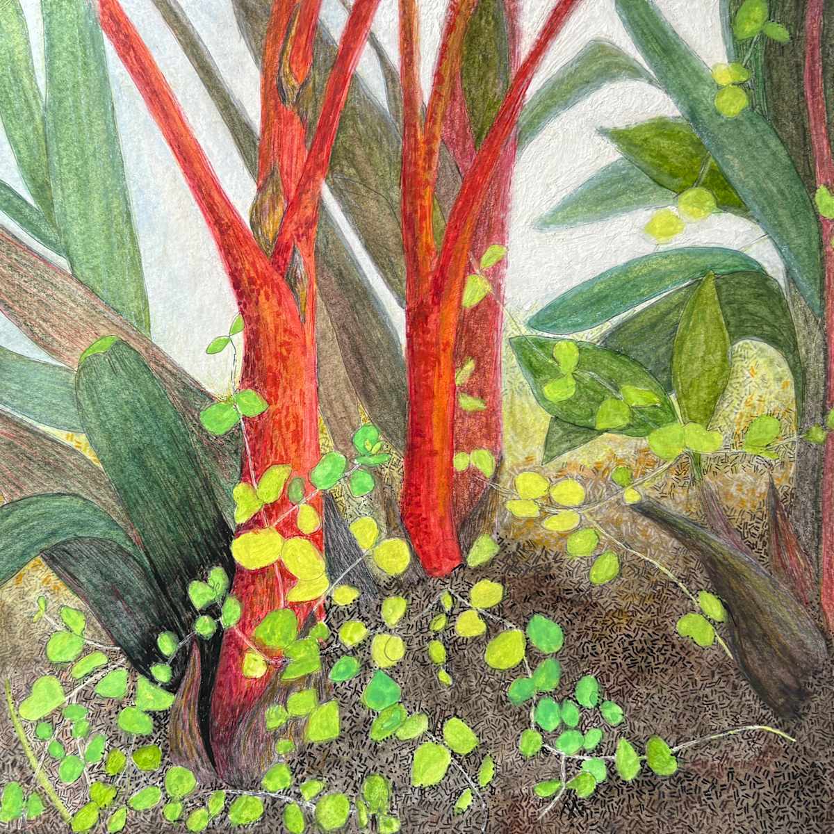 Lipstick Palm (Cyrtostachys renda) by Martha Lee Turner, Image 1.