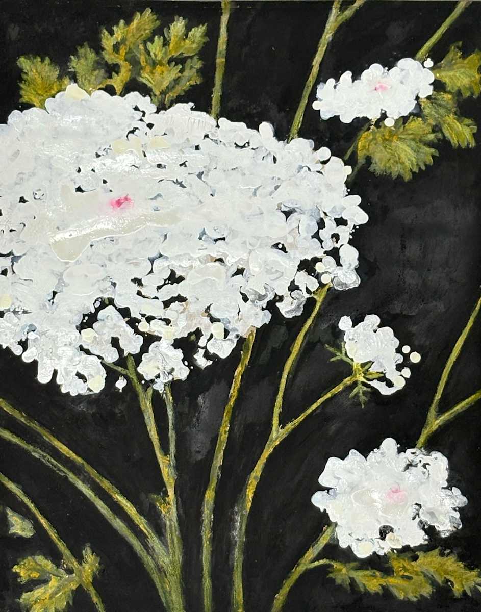 Large Queen Anne's Lace Flower by Martha Lee Turner, Image 1.