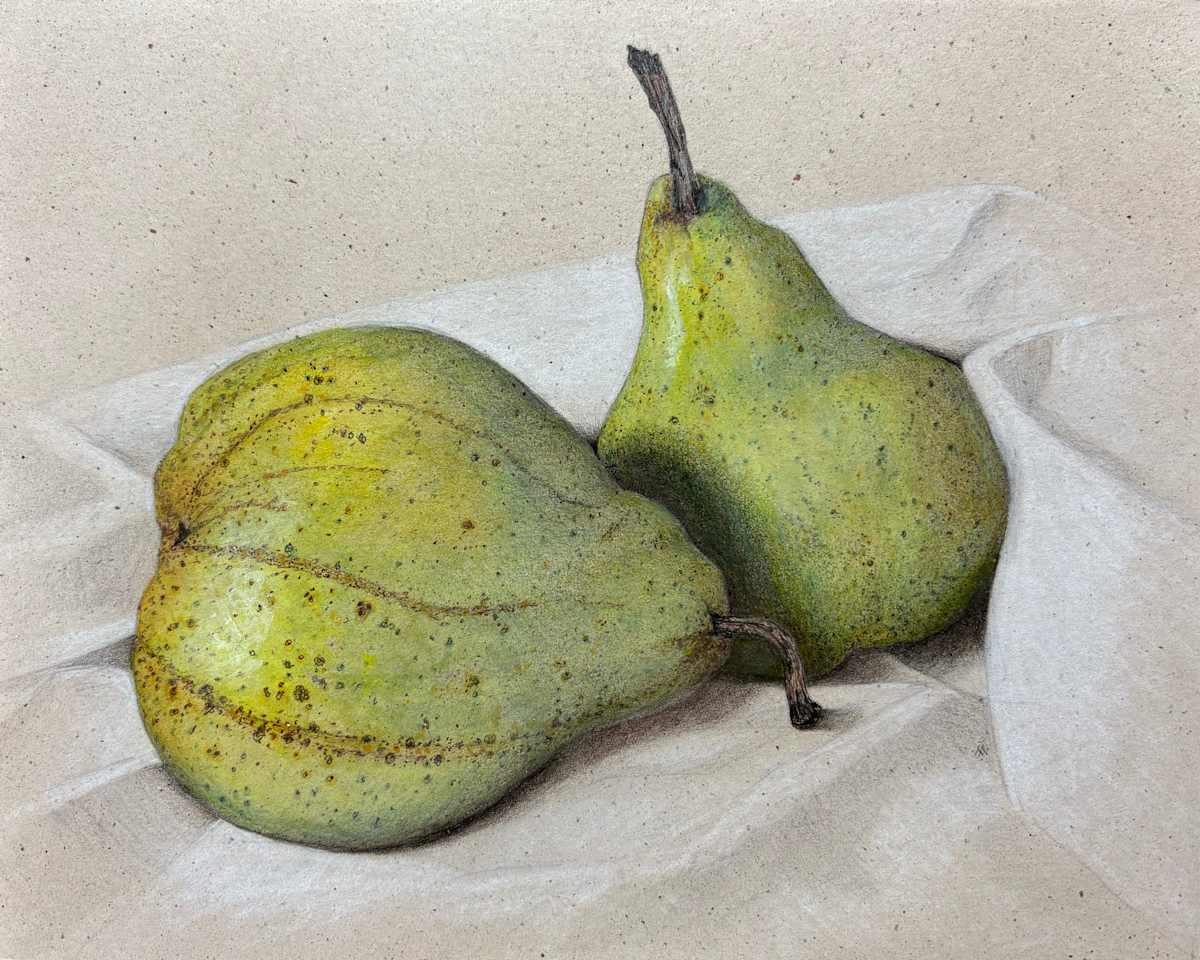 Striped and Speckled Pears by Martha Lee Turner, Image 1.