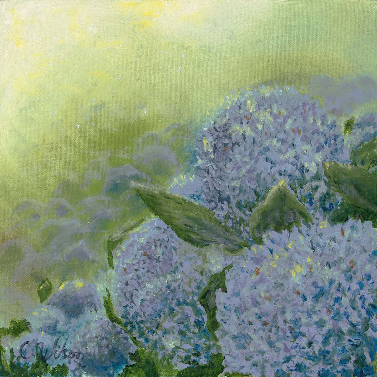 Roadside Hydrangeas by Christina Wilson, Image 1.