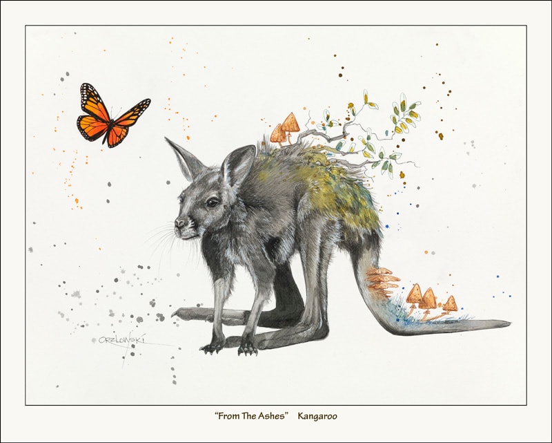 From the Ashes - Kangaroo by Lynette Orzlowski, Image 1.