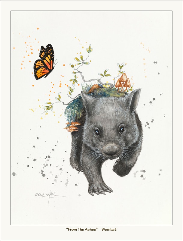 From the Ashes - Wombat by Lynette Orzlowski 