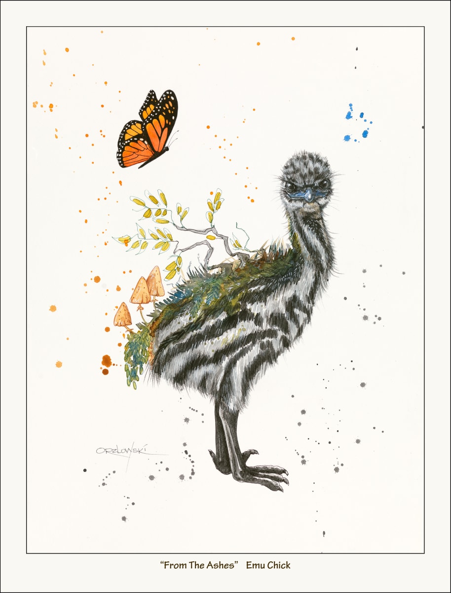 From the Ashes-  Baby Emu by Lynette Orzlowski 