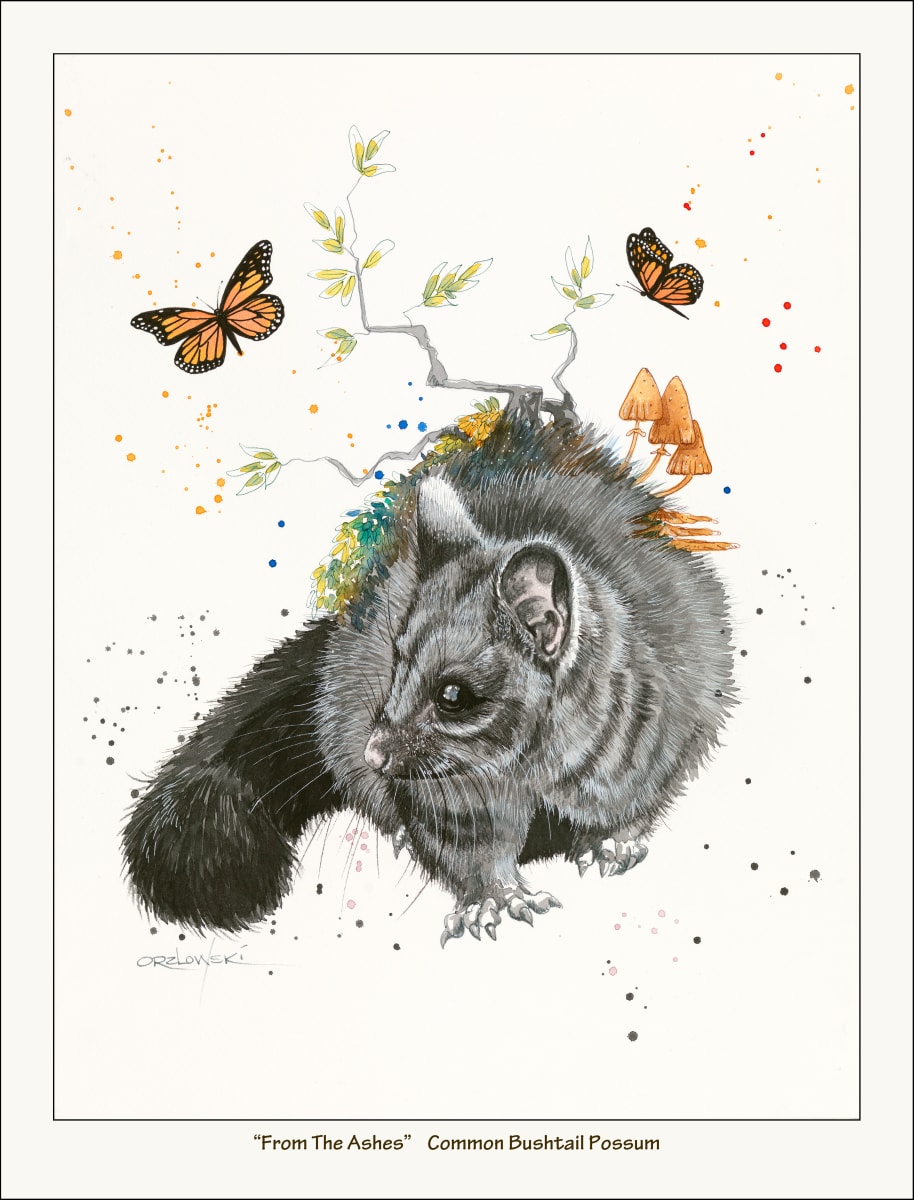From the Ashes- Possum by Lynette Orzlowski 
