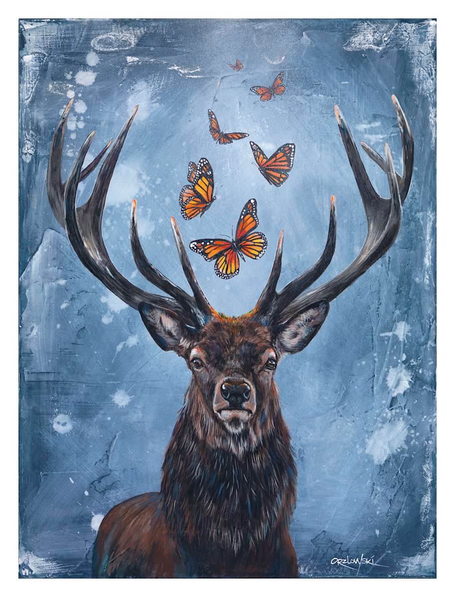 An Imperial Position by Lynette Orzlowski 