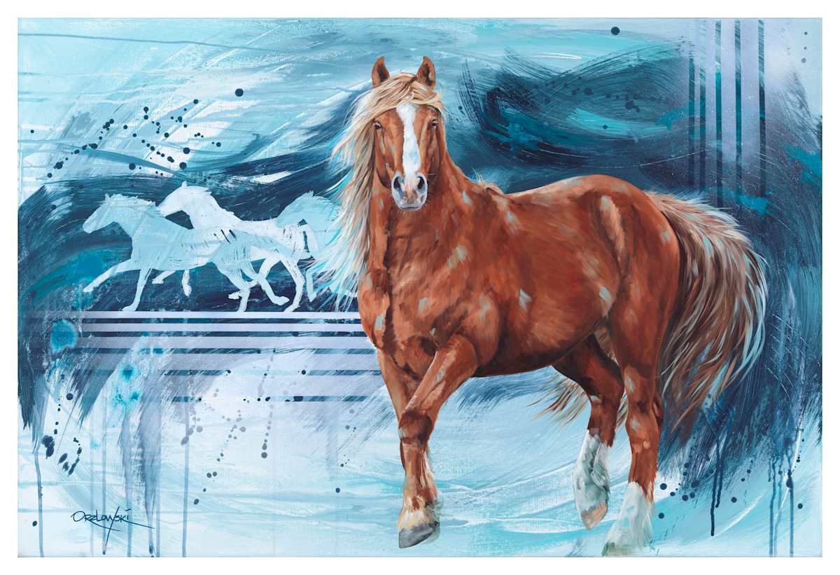 Flaxen by Lynette Orzlowski  Image: Snowy Mountain Brumby Stallion