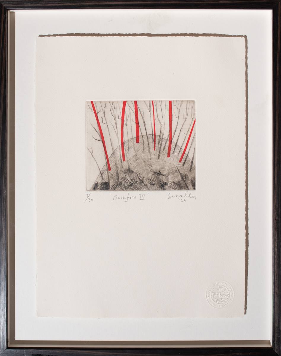 Bushfire III by Mark Schaller, Image 1.