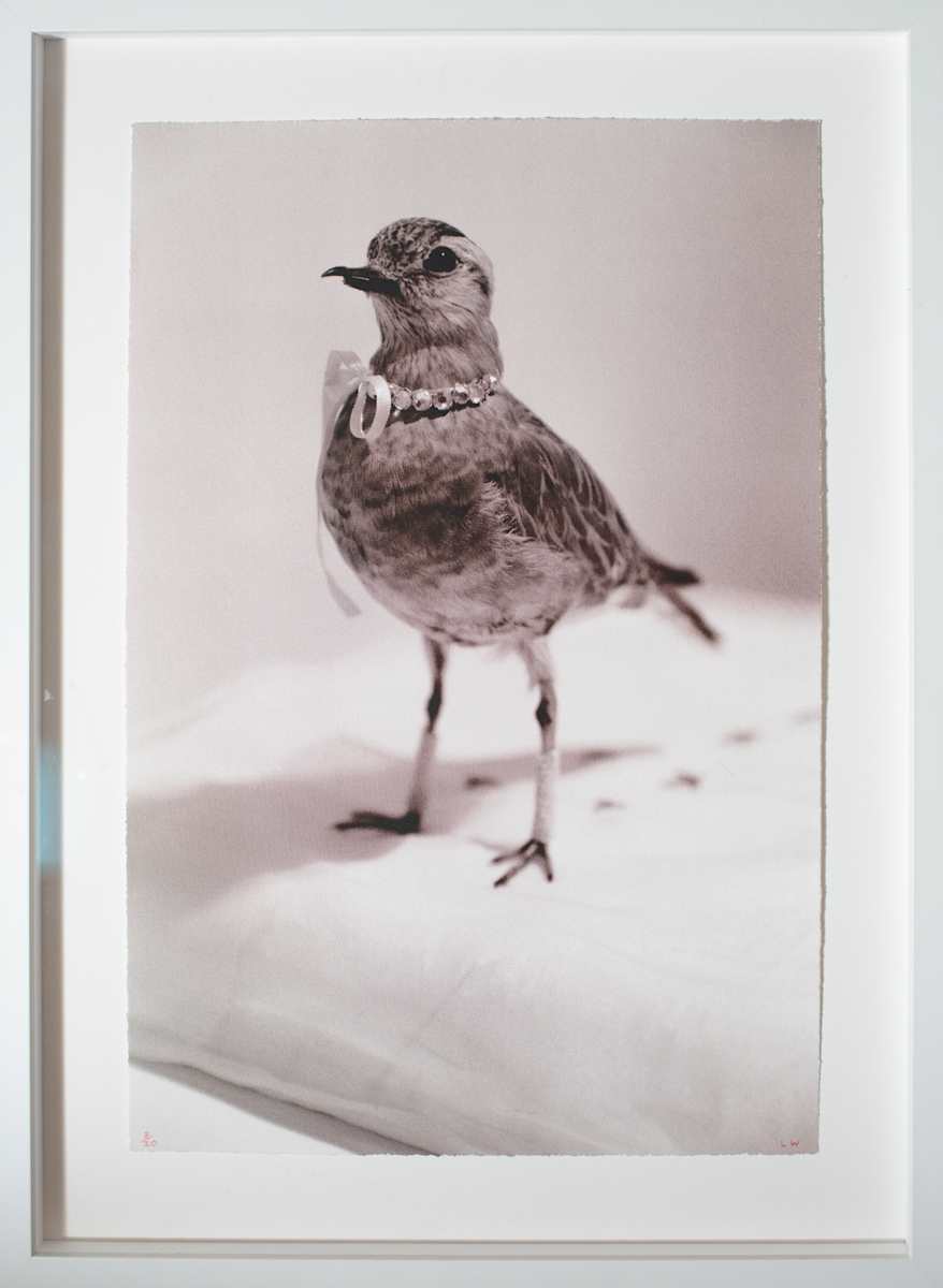 Xmas Chick by Louise Paramour, Image 1.